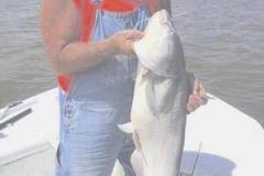 Wesley-Joe-Madison-Current