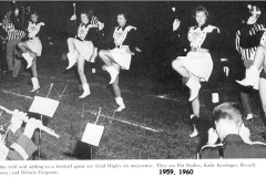 band_fieldperformance