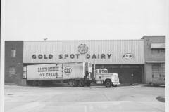 Enid-HS-Vintage-GoldSpot-1.jpg