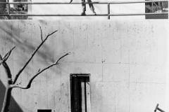 Enid-HS-Vintage--Zoo.jpg